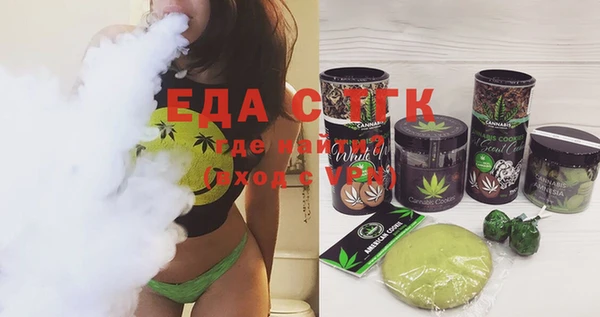 шишки Гусиноозёрск