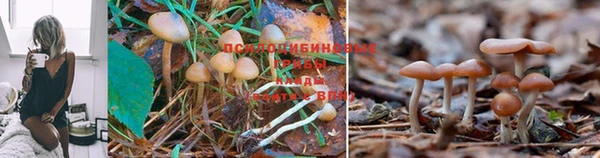 мефедрон Елабуга