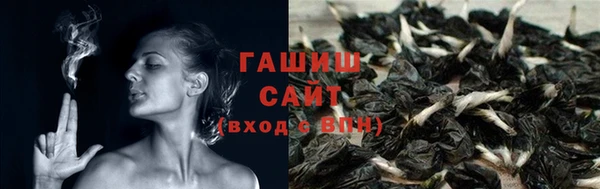 дурь Гусев
