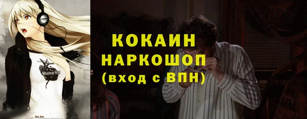 соль ск Ельня