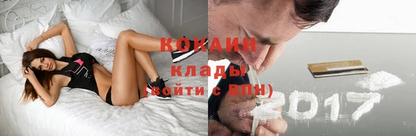 прущие грибы Заволжск
