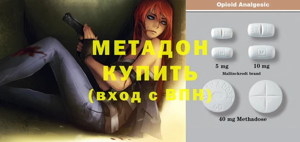 прущие грибы Заволжск