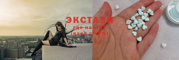 соль ск Ельня