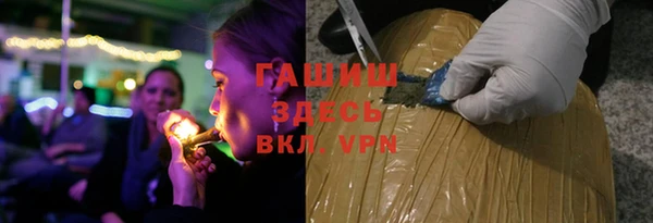соль ск Ельня