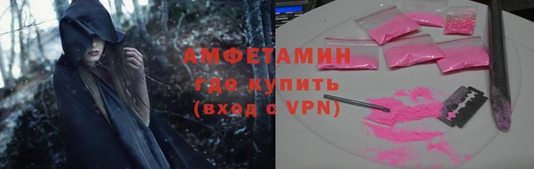 соль ск Ельня