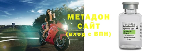 прущие грибы Заволжск
