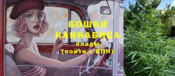 прущие грибы Заволжск
