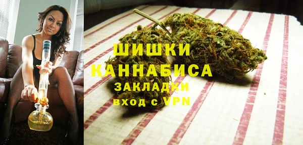 прущие грибы Заволжск