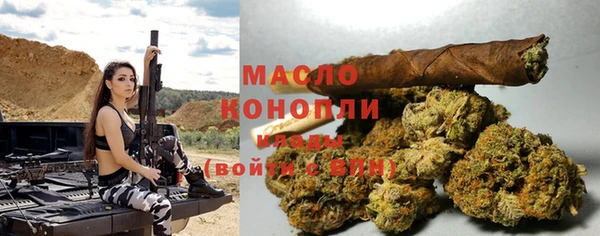 соль ск Ельня