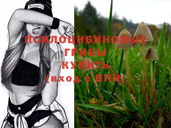 кокс Елизово