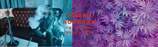соль ск Ельня