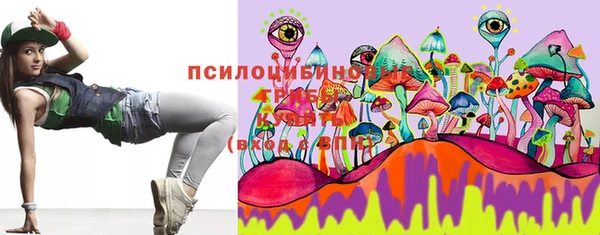 кокс Елизово