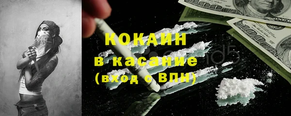 соль ск Ельня